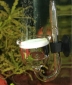 JBL ProFlora CO2 Diffusor Taifun Glass