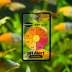 Seachem pH Alert
