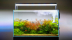 Twinstar Aquarium Sterilisator Nano