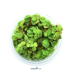 Dennerle Salvinia minima In-Vitro Cup