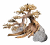 Dennerle Decor Bonsai Box