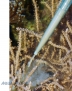 Aqua Medic Pipette