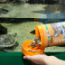 JBL ProTerra Pescarus