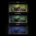 AQUAEL UltraScape SET 60