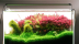 Chihiros B Series LED Light