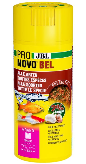 JBL ProNovo Bel Grano M