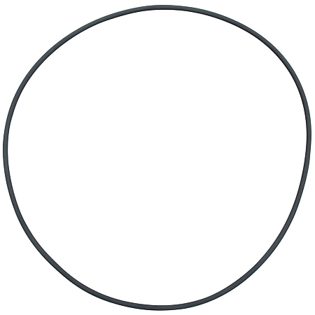 Fluval Sealing Ring FX2
