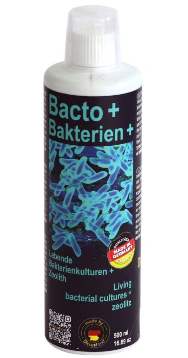 Discusfood Bacto +