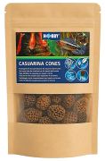 Hobby Casuarina Cones