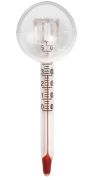 Nano Thermometer